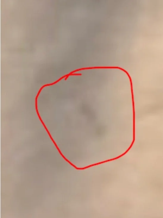 Zara Woman Beige Double-Breasted Trench Coat+Belt - Size L - Spring/Fall Staple - Picture 9 of 10